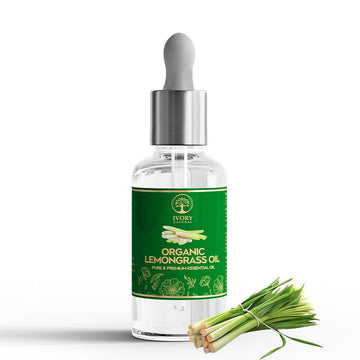 https://cdn.shopify.com/s/files/1/1857/6931/files/xXIrHavIWw.jpg?v=1717673873