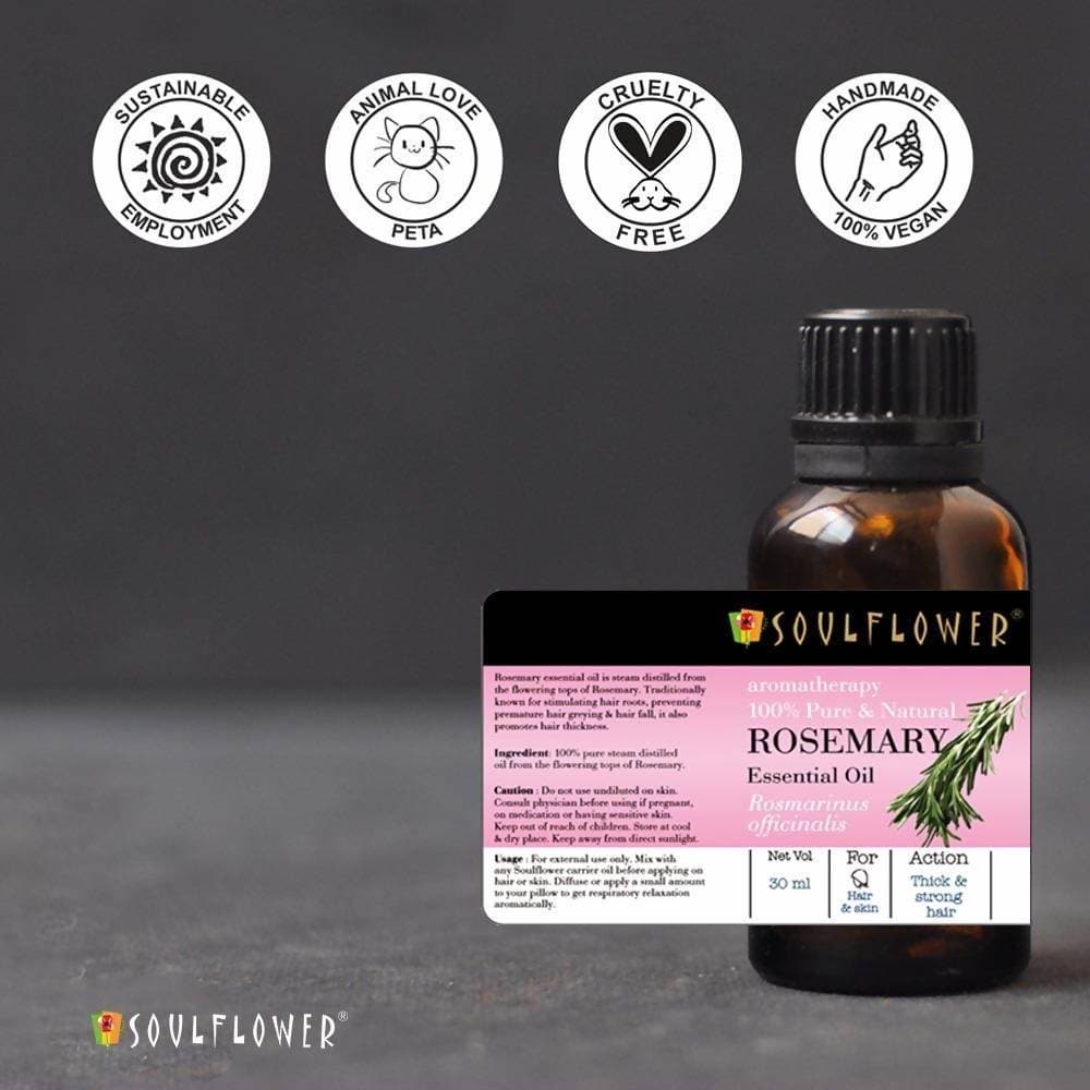 https://cdn.shopify.com/s/files/1/1857/6931/products/xYGFsZaCD7.jpg?v=1614911244