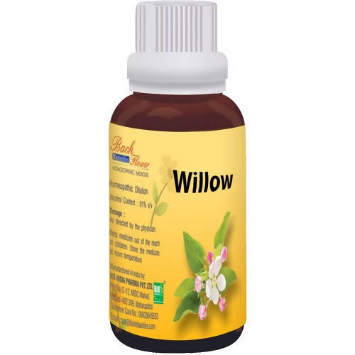 https://cdn.shopify.com/s/files/1/1857/6931/products/xYdtr2nyMd.jpg?v=1762313600