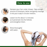 https://cdn.shopify.com/s/files/1/1857/6931/files/xYodTSHn18.jpg?v=1758890080
