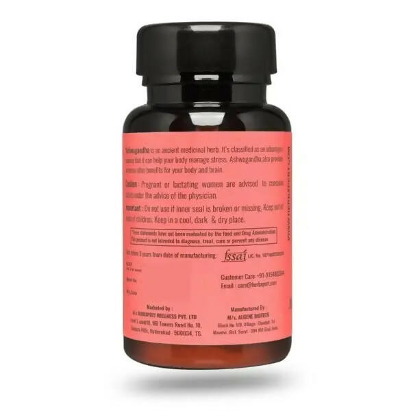 https://cdn.shopify.com/s/files/1/1857/6931/products/xYsrPnxF82.jpg?v=1661498884