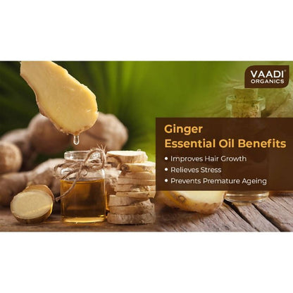 https://cdn.shopify.com/s/files/1/1857/6931/products/xZLpFIFbFb.jpg?v=1617935368