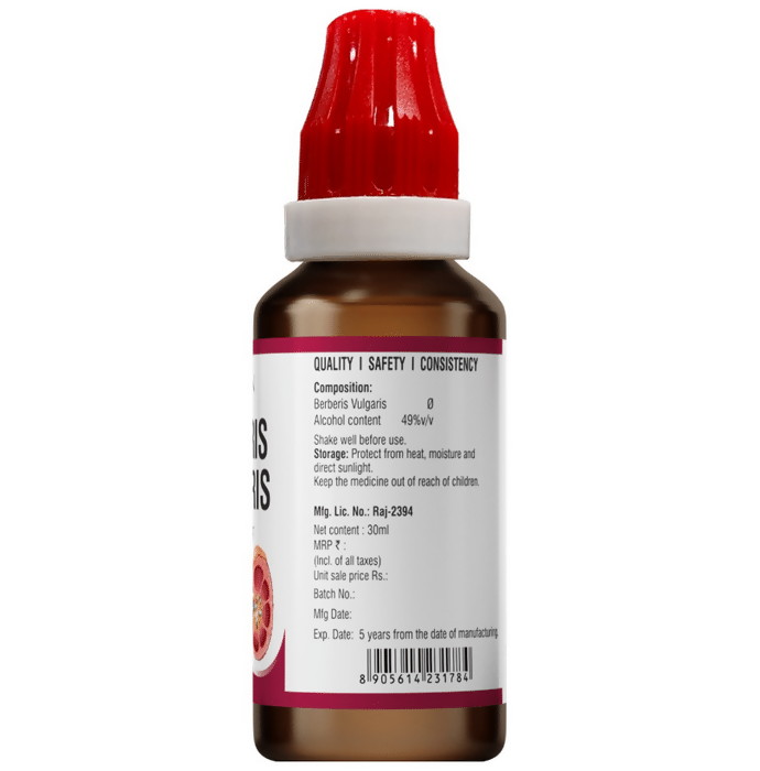 https://cdn.shopify.com/s/files/1/1857/6931/files/xaEGBTyUda.png?v=1737090319
