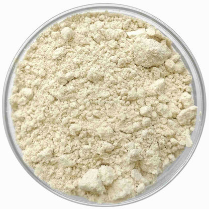 https://cdn.shopify.com/s/files/1/1857/6931/products/xb4JI1C4fz.jpg?v=1674884474