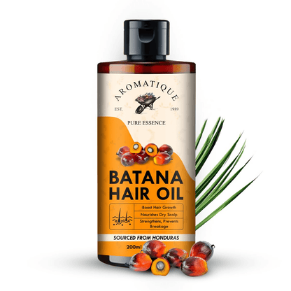 https://cdn.shopify.com/s/files/1/1857/6931/files/xe4DWew8U0-511918.png?v=1736149329