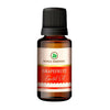 https://cdn.shopify.com/s/files/1/1857/6931/products/xev1Qs2Kti.jpg?v=1762343875