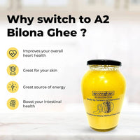 https://cdn.shopify.com/s/files/1/1857/6931/files/xhakQLzLI9-316308.jpg?v=1738758474