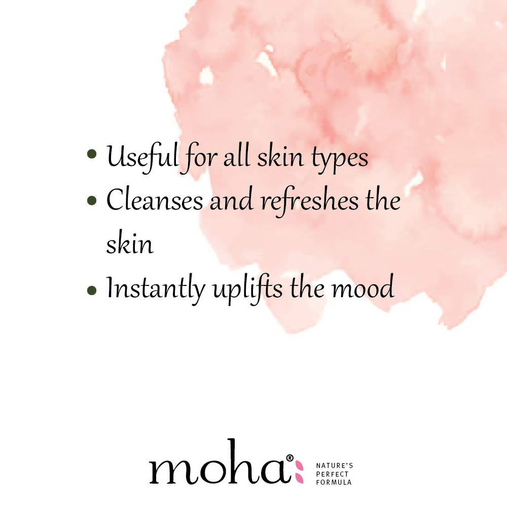 https://cdn.shopify.com/s/files/1/1857/6931/products/xjt2f4mrYP.jpg?v=1630672391