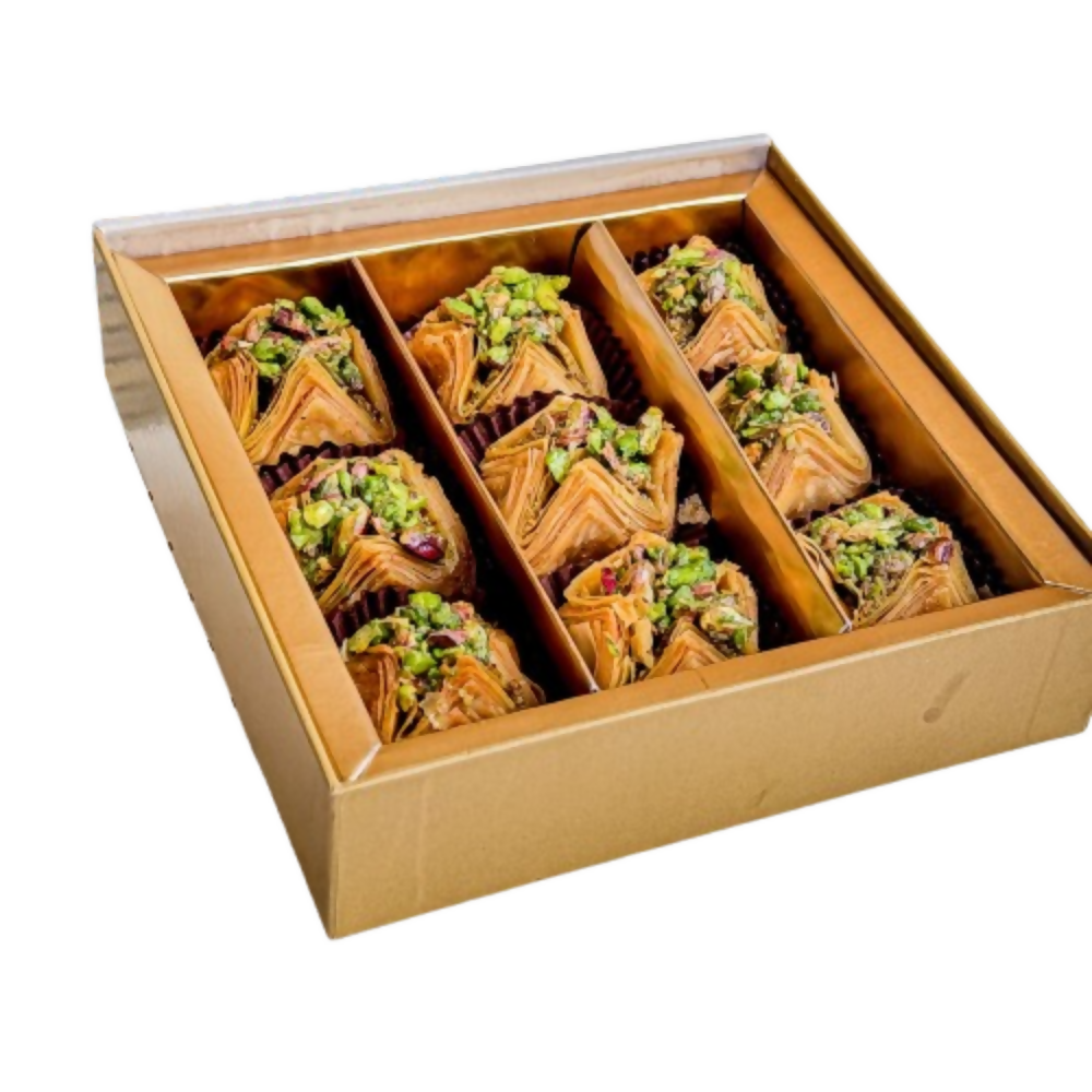 https://cdn.shopify.com/s/files/1/1857/6931/files/xnzTHGzGj1.png?v=1772702930