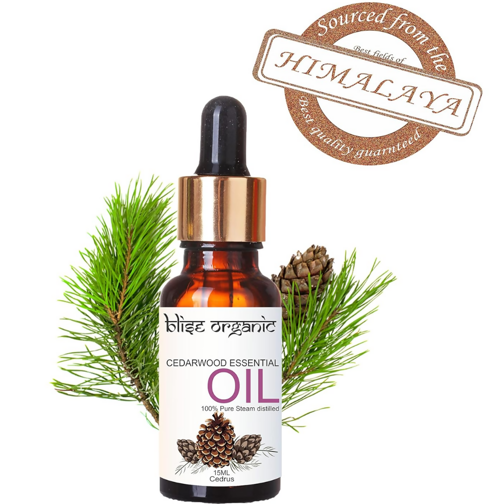https://cdn.shopify.com/s/files/1/1857/6931/files/xp1qhy3DNI.png?v=1777963668