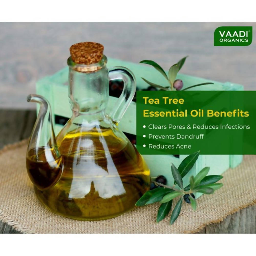 https://cdn.shopify.com/s/files/1/1857/6931/products/xqSaNWNdxT.jpg?v=1618540038