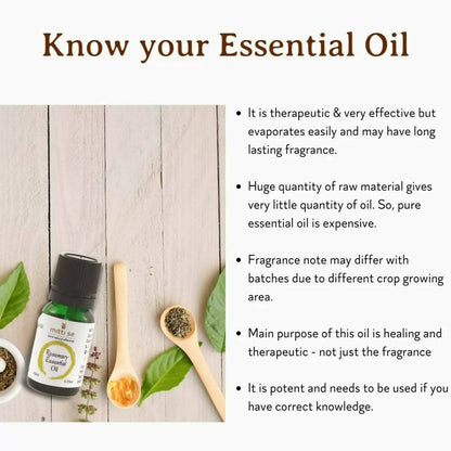 https://cdn.shopify.com/s/files/1/1857/6931/products/xqsePfTQvr.jpg?v=1670583343