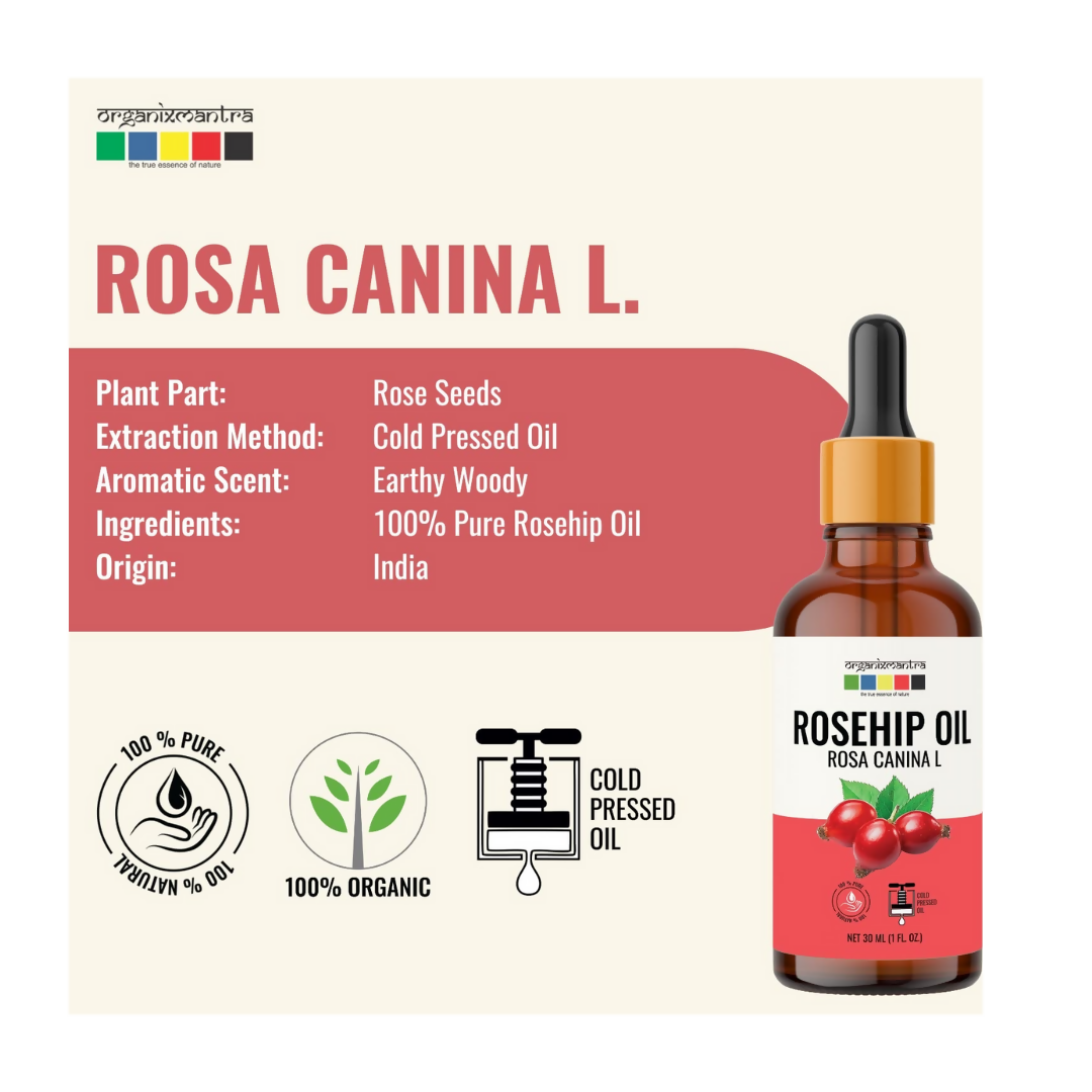 https://cdn.shopify.com/s/files/1/1857/6931/files/xtPYztt8xa.png?v=1723201969