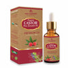 https://cdn.shopify.com/s/files/1/1857/6931/products/xtwyoeG9d3.jpg?v=1759338095