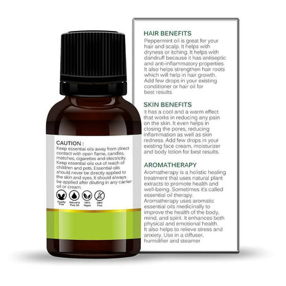 https://cdn.shopify.com/s/files/1/1857/6931/products/xu6cefSU81.jpg?v=1694509737