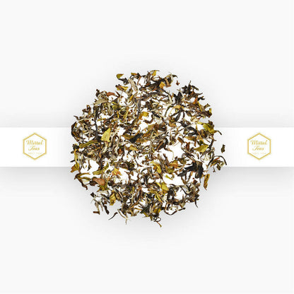 https://cdn.shopify.com/s/files/1/1857/6931/products/xvXHqovBsL.jpg?v=1665828065