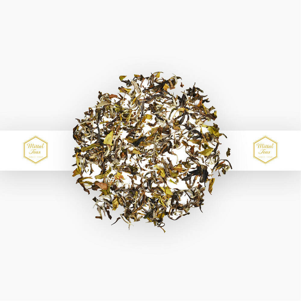 https://cdn.shopify.com/s/files/1/1857/6931/products/xvXHqovBsL.jpg?v=1665828065