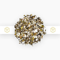 https://cdn.shopify.com/s/files/1/1857/6931/products/xvXHqovBsL.jpg?v=1665828065