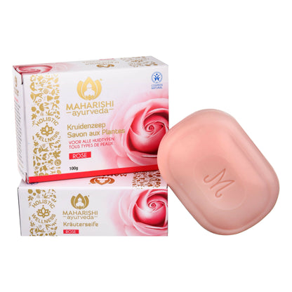 https://cdn.shopify.com/s/files/1/1857/6931/products/xwySpclaGH.jpg?v=1683887172