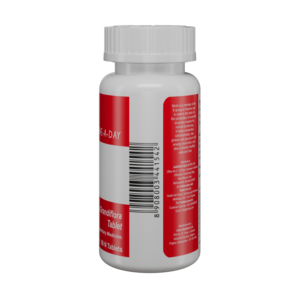 https://cdn.shopify.com/s/files/1/1857/6931/files/xyHOrshvpq.png?v=1736595304