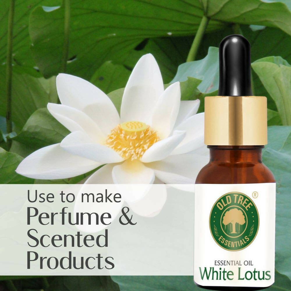 https://cdn.shopify.com/s/files/1/1857/6931/products/y1GCXknSwd.jpg?v=1683719901