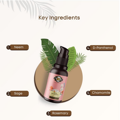 https://cdn.shopify.com/s/files/1/1857/6931/files/y2oCBvweLH.png?v=1730810542