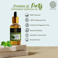 https://cdn.shopify.com/s/files/1/1857/6931/products/y3slVWrAUf.jpg?v=1677655909