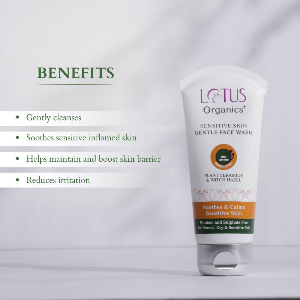 https://cdn.shopify.com/s/files/1/1857/6931/files/y5hLJJtpwS.jpg?v=1741607463