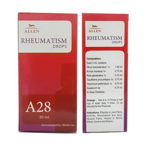 https://cdn.shopify.com/s/files/1/1857/6931/files/y6XeM6Unyq-448894.jpg?v=1736146497