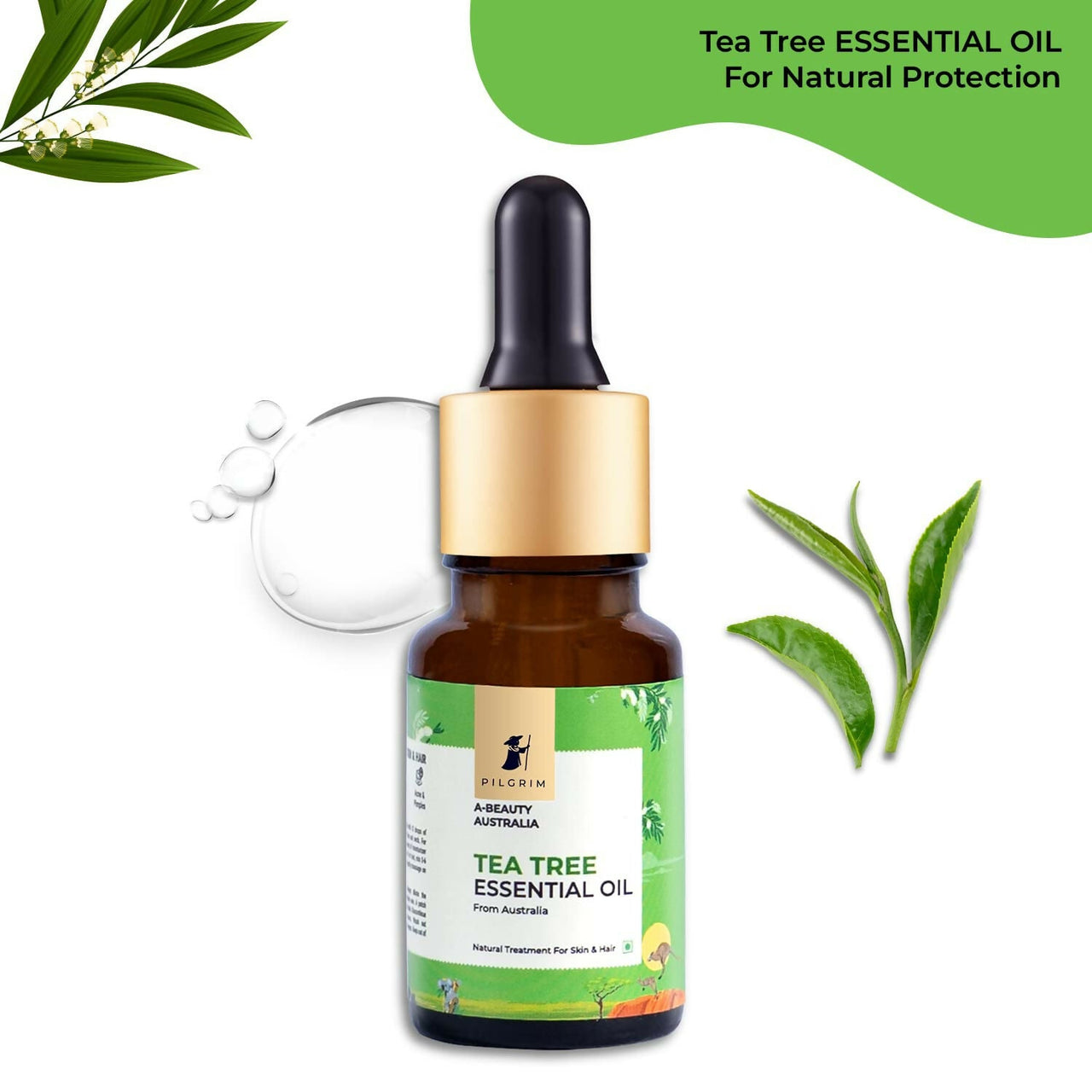 https://cdn.shopify.com/s/files/1/1857/6931/files/y6ZMSdid8b.jpg?v=1716354505