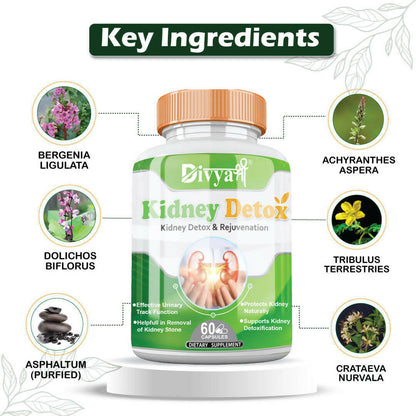 https://cdn.shopify.com/s/files/1/1857/6931/products/y8op5bd4jv.jpg?v=1672209726