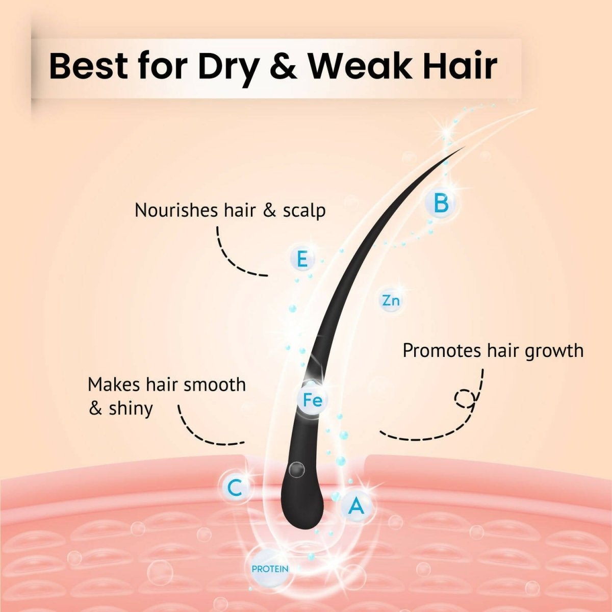 https://cdn.shopify.com/s/files/1/1857/6931/files/yAVSJriSLt-133914.jpg?v=1736146681