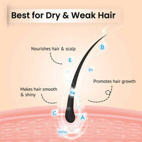 https://cdn.shopify.com/s/files/1/1857/6931/files/yAVSJriSLt-133914.jpg?v=1736146681