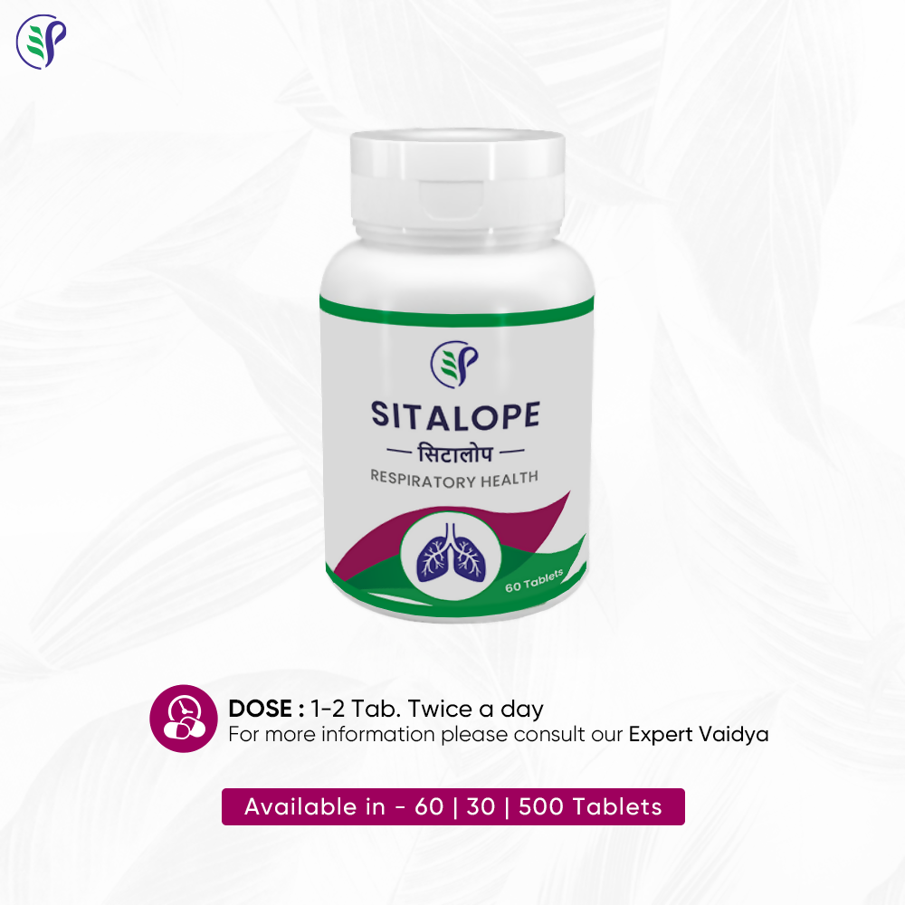 https://cdn.shopify.com/s/files/1/1857/6931/files/yDGVoUtT8O.png?v=1726557511