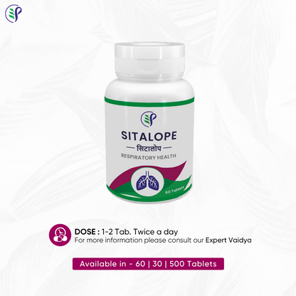 https://cdn.shopify.com/s/files/1/1857/6931/files/yDGVoUtT8O.png?v=1726557511