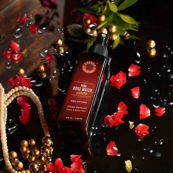 https://cdn.shopify.com/s/files/1/1857/6931/products/yFERAnVs7u.jpg?v=1638272607