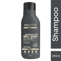 https://cdn.shopify.com/s/files/1/1857/6931/files/yGcnx55DZs.png?v=1722862466