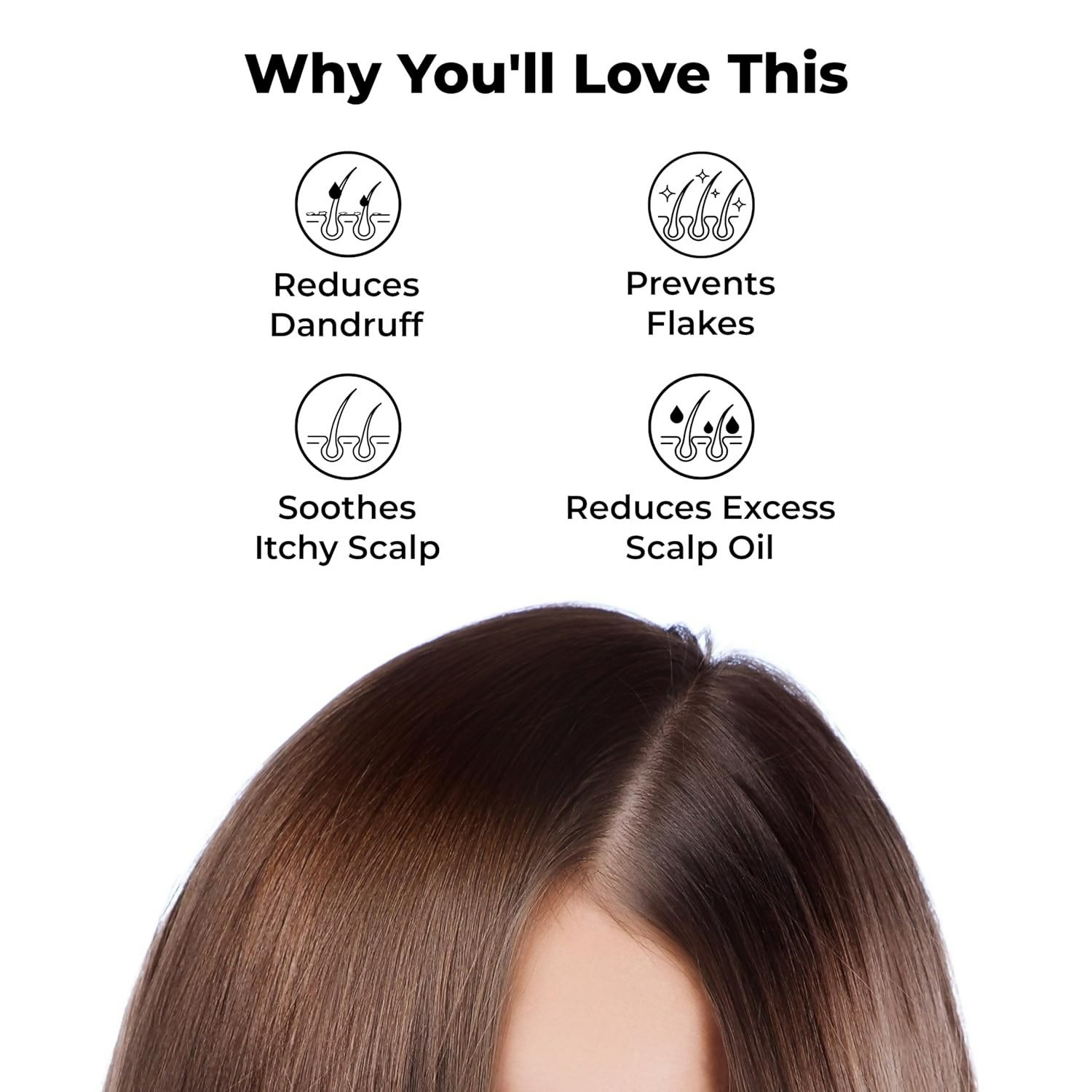 https://cdn.shopify.com/s/files/1/1857/6931/files/yGzx68ACfg.png?v=1727776059
