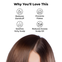 https://cdn.shopify.com/s/files/1/1857/6931/files/yGzx68ACfg.png?v=1727776059