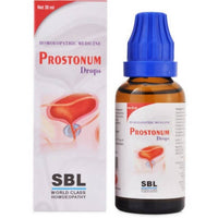 https://cdn.shopify.com/s/files/1/1857/6931/products/yJayzbTJSh.jpg?v=1627612160