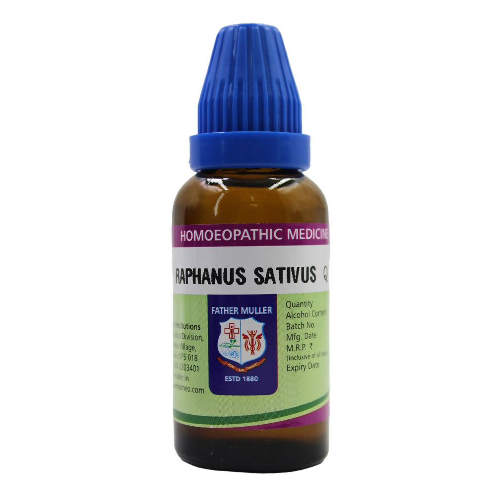 https://cdn.shopify.com/s/files/1/1857/6931/files/yMu9ecP1Cc.jpg?v=1717061320