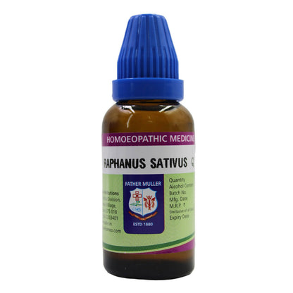 https://cdn.shopify.com/s/files/1/1857/6931/files/yMu9ecP1Cc.jpg?v=1717061320