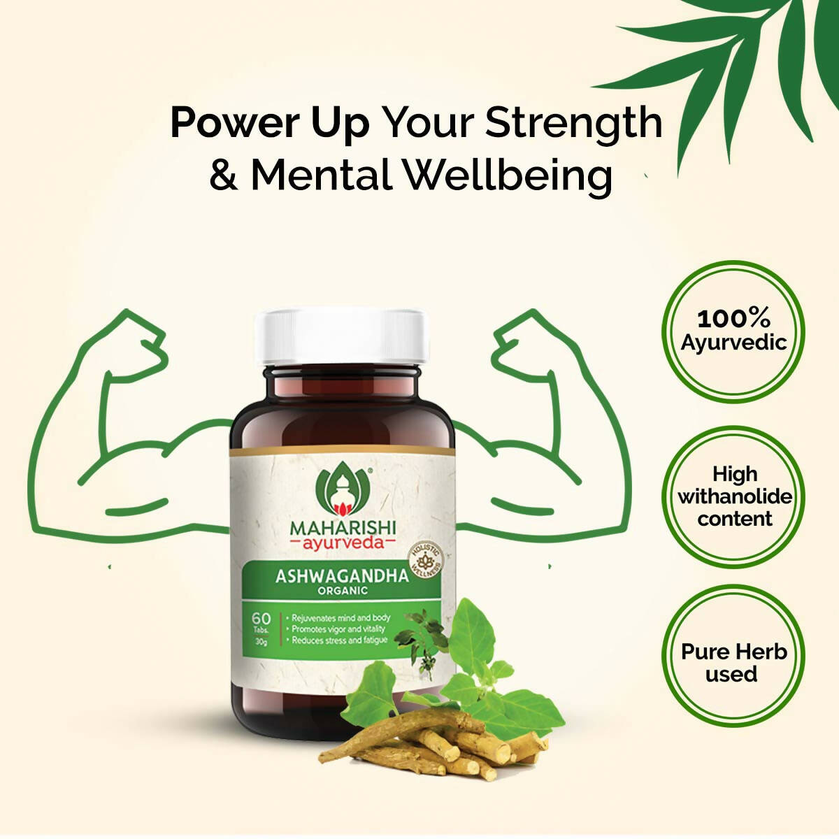 https://cdn.shopify.com/s/files/1/1857/6931/products/yOk4LnKcjP.jpg?v=1737558488