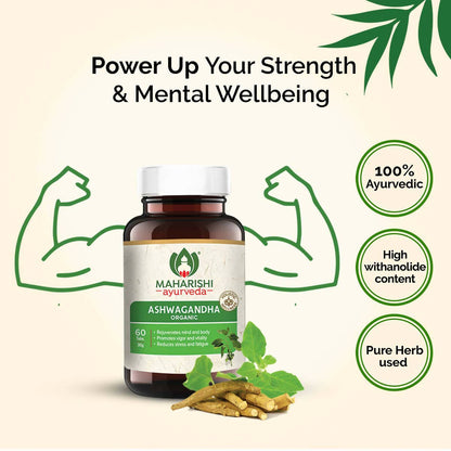 https://cdn.shopify.com/s/files/1/1857/6931/products/yOk4LnKcjP.jpg?v=1737558488