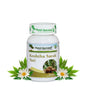 https://cdn.shopify.com/s/files/1/1857/6931/products/yTfoudud6y.jpg?v=1762350675