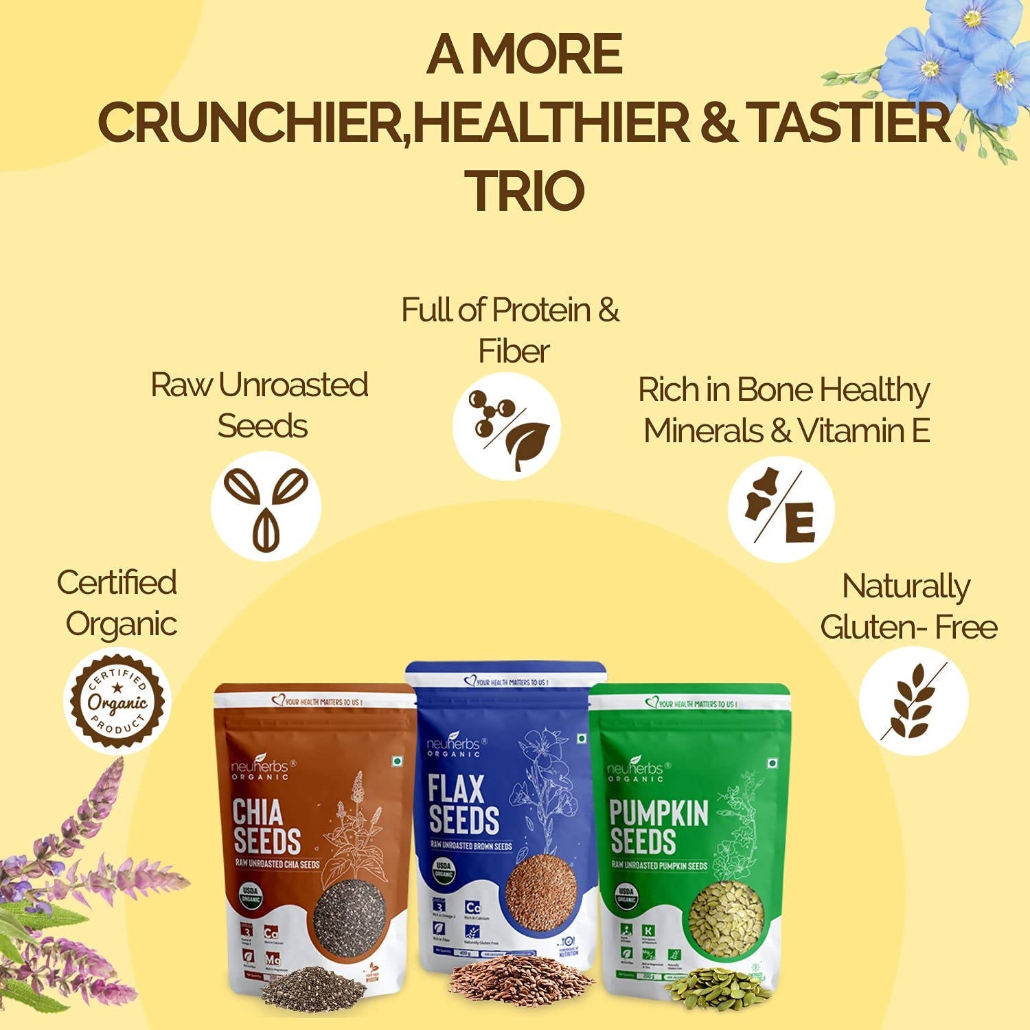 https://cdn.shopify.com/s/files/1/1857/6931/products/yWeIHMgZ4c.jpg?v=1739960338