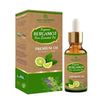 https://cdn.shopify.com/s/files/1/1857/6931/products/yZyoGxNrb7.jpg?v=1762336514
