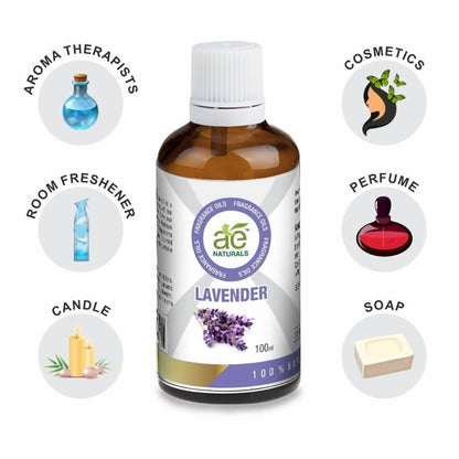 https://cdn.shopify.com/s/files/1/1857/6931/files/yasBmZL7V7-688968.jpg?v=1736143804