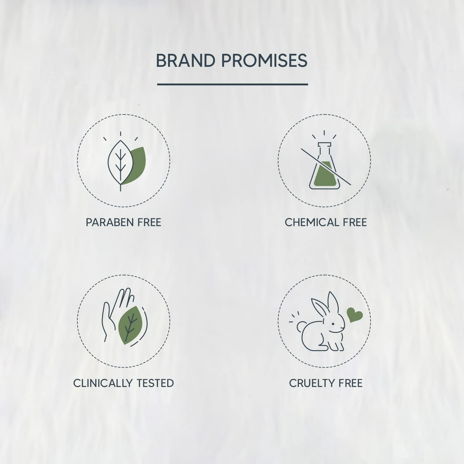 https://cdn.shopify.com/s/files/1/1857/6931/files/yb8xzkHA39.png?v=1720524387