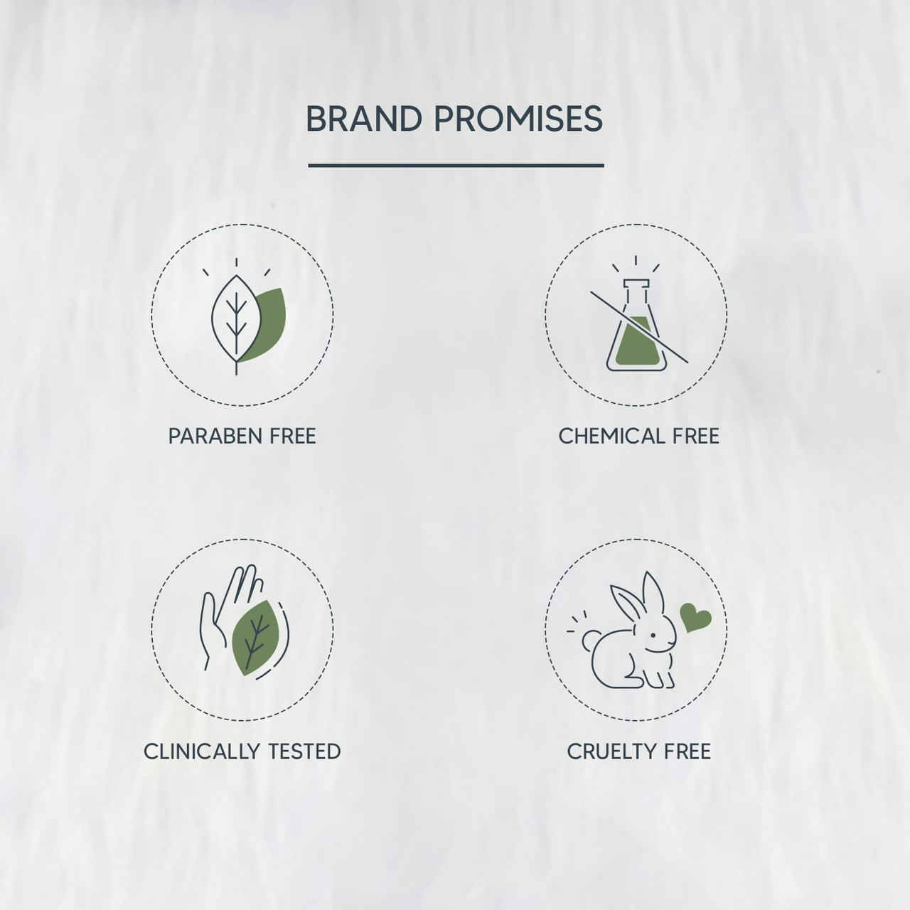 https://cdn.shopify.com/s/files/1/1857/6931/files/yb8xzkHA39.png?v=1720524387